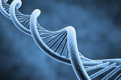 生命科学高性能解决方案